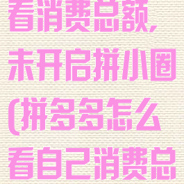 拼多多怎么查看消费总额,未开启拼小圈(拼多多怎么看自己消费总额)