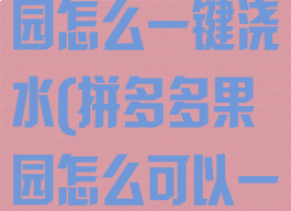拼多多里的果园怎么一键浇水(拼多多果园怎么可以一键浇水)
