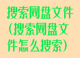 搜索网盘文件(搜索网盘文件怎么搜索)