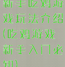 新手吃鸡游戏玩法介绍(吃鸡游戏新手入门必知)