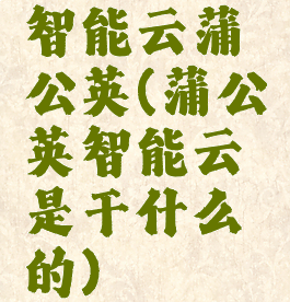 智能云蒲公英(蒲公英智能云是干什么的)