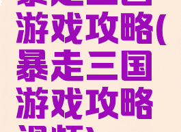 暴走三国游戏攻略(暴走三国游戏攻略视频)