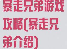 暴走兄弟游戏攻略(暴走兄弟介绍)
