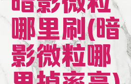 暗影微粒哪里刷(暗影微粒哪里掉率高)