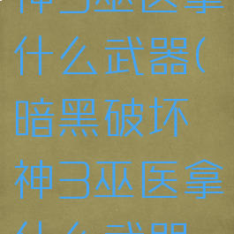 暗黑破坏神3巫医拿什么武器(暗黑破坏神3巫医拿什么武器好)