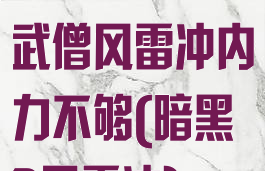 暗黑破坏神3武僧风雷冲内力不够(暗黑3风雷冲)