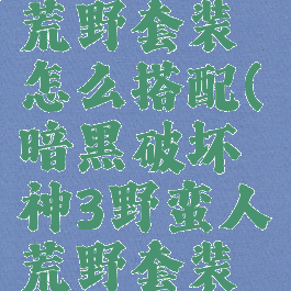 暗黑破坏神3野蛮人荒野套装怎么搭配(暗黑破坏神3野蛮人荒野套装怎么搭配好)