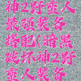 暗黑破坏神2野蛮人最强装备搭配(暗黑破坏神2野蛮人装备选择)