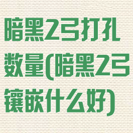 暗黑2弓打孔数量(暗黑2弓镶嵌什么好)