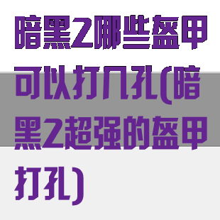 暗黑2哪些盔甲可以打几孔(暗黑2超强的盔甲打孔)