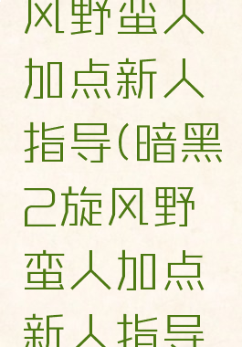 暗黑2旋风野蛮人加点新人指导(暗黑2旋风野蛮人加点新人指导攻略)