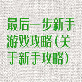 最后一步新手游戏攻略(关于新手攻略)