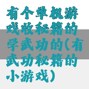 有个单机游戏收秘籍的学武功的(有武功秘籍的小游戏)