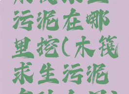 木筏求生污泥在哪里挖(木筏求生污泥有什么用)