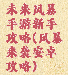 未来风暴手游新手攻略(风暴来袭安卓攻略)