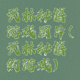 武林秘籍游戏图片(武林秘籍的游戏)