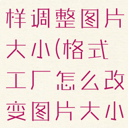 格式工厂怎样调整图片大小(格式工厂怎么改变图片大小)