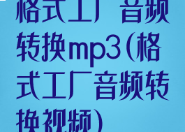 格式工厂音频转换mp3(格式工厂音频转换视频)