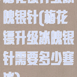 梅花镖升级冰魄银针(梅花镖升级冰魄银针需要多少寒冰)