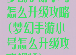 梦幻手游小号怎么升级攻略(梦幻手游小号怎么升级攻略视频)