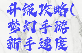 梦幻手游新手速度升级攻略(梦幻手游新手速度升级攻略大全)