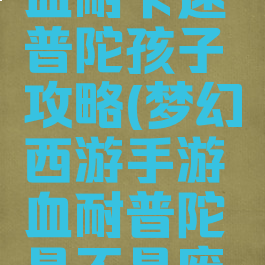 梦幻手游血耐卡速普陀孩子攻略(梦幻西游手游血耐普陀是不是废了)