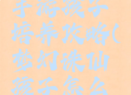 梦幻诛仙手游孩子培养攻略(梦幻诛仙孩子怎么培养)
