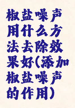 椒盐噪声用什么方法去除效果好(添加椒盐噪声的作用)