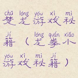 楚龙游戏秘籍(龙拳小游戏秘籍)