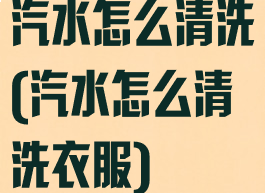 汽水怎么清洗(汽水怎么清洗衣服)