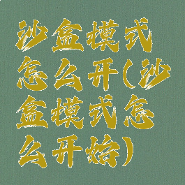 沙盒模式怎么开(沙盒模式怎么开始)