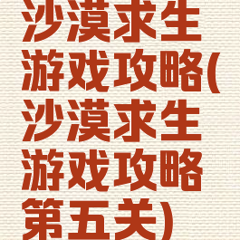 沙漠求生游戏攻略(沙漠求生游戏攻略第五关)
