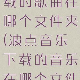 波点音乐下载的歌曲在哪个文件夹(波点音乐下载的音乐在哪个文件夹)