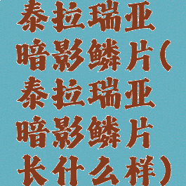 泰拉瑞亚暗影鳞片(泰拉瑞亚暗影鳞片长什么样)