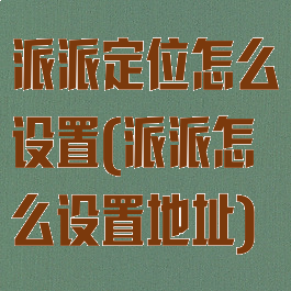派派定位怎么设置(派派怎么设置地址)