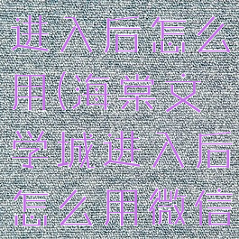 海棠文学城进入后怎么用(海棠文学城进入后怎么用微信登录)