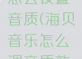 海贝音乐怎么设置音质(海贝音乐怎么调音质效果很好)