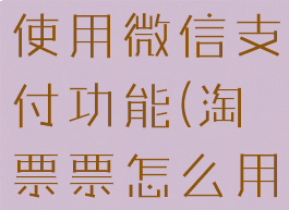 淘票票怎么使用微信支付功能(淘票票怎么用微信登录)