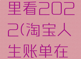 淘宝人生账单在哪里看2022(淘宝人生账单在哪里看准不准确)