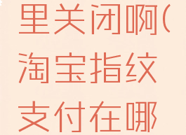 淘宝指纹支付在哪里关闭啊(淘宝指纹支付在哪里关闭啊苹果手机)