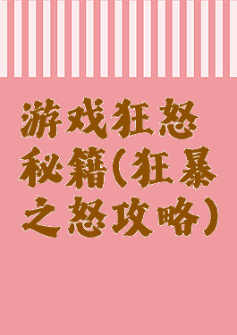 游戏狂怒秘籍(狂暴之怒攻略)