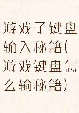 游戏子键盘输入秘籍(游戏键盘怎么输秘籍)