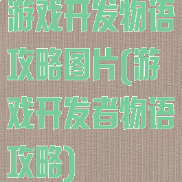 游戏开发物语攻略图片(游戏开发者物语攻略)