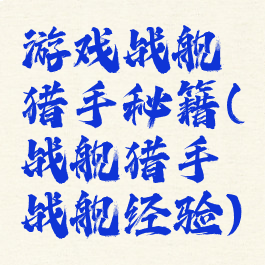 游戏战舰猎手秘籍(战舰猎手战舰经验)