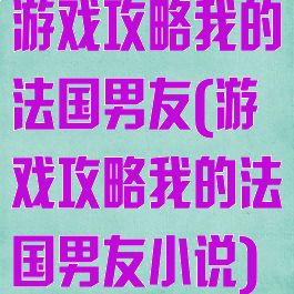 游戏攻略我的法国男友(游戏攻略我的法国男友小说)