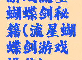 游戏流星蝴蝶剑秘籍(流星蝴蝶剑游戏操作)