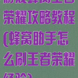 游戏蜂窝王者荣耀攻略教程(蜂窝助手怎么刷王者荣耀经验)