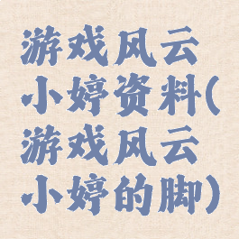 游戏风云小婷资料(游戏风云小婷的脚)