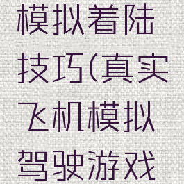 游戏飞行模拟着陆技巧(真实飞机模拟驾驶游戏怎么降落)