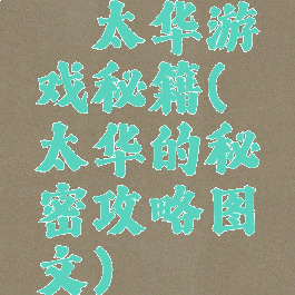 渥太华游戏秘籍(渥太华的秘密攻略图文)